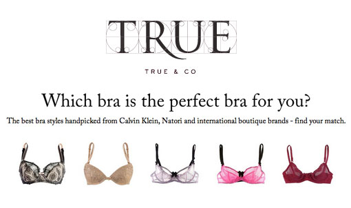 True & Co., Intimates & Sleepwear, True And Co Bra