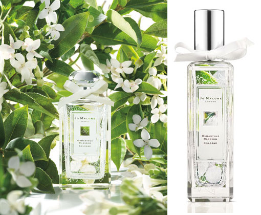 Yummy:Jo Malone Limited Edition Fragrance Collection