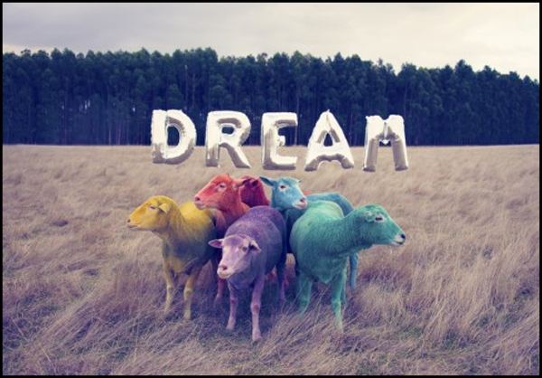 Some Saturday Inspo: The Dare To Dream Photo Series