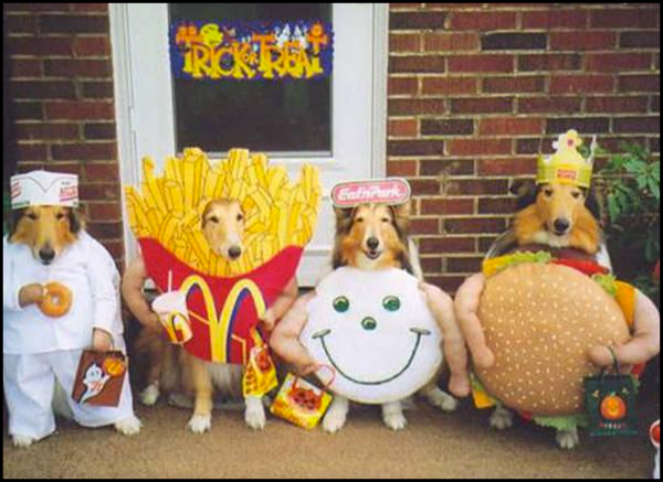 Doggone it! This Halloween We’re Turning Our Pets Into PARTY ANIMALS!