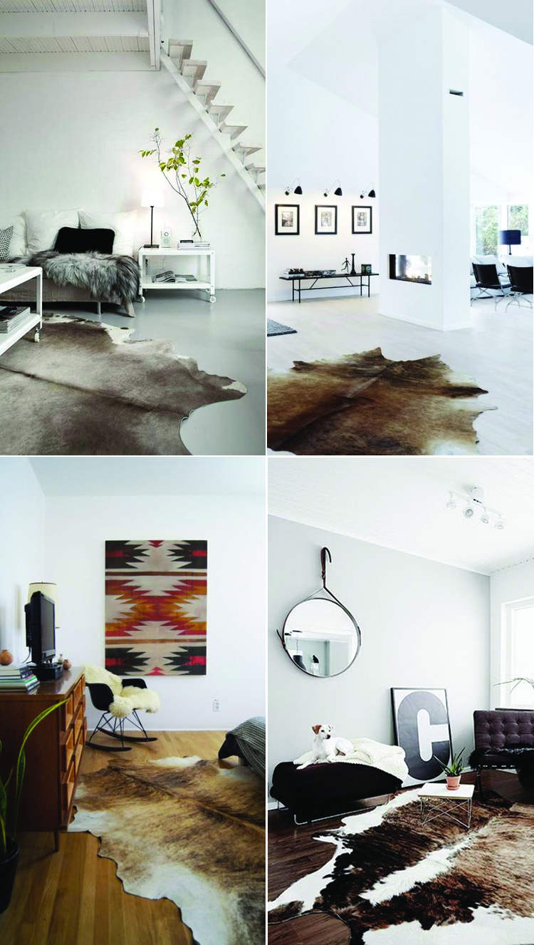 cowhide-rug4