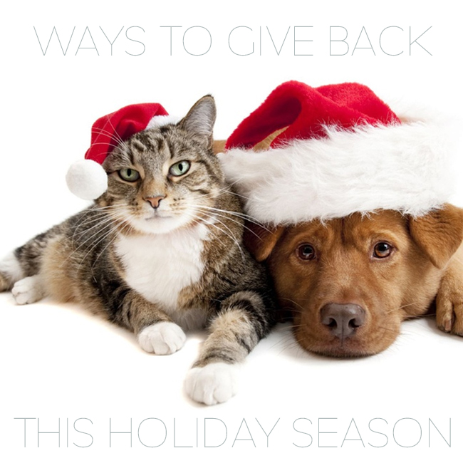 Special Ways To Give Back This Holiday Season